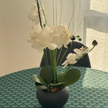 50m2 Cote Bale Parking Inclus Apartment Saint-Louis (Haut-Rhin)